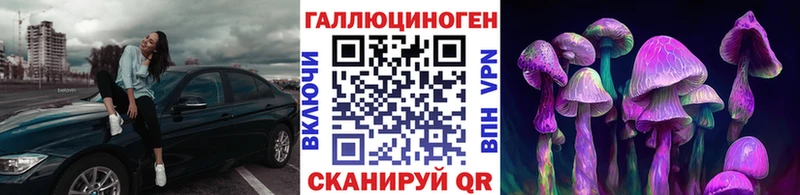 Псилоцибиновые грибы Psilocybine cubensis  что такое   гидра ССЫЛКА  Топки 